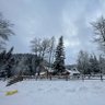 VelaSaturday profil fotoğrafı