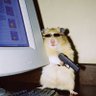 ๐ผ's profile picture