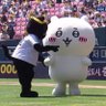 공던지개's profile picture