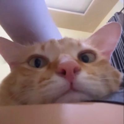 _gernpuimuiii's profile picture