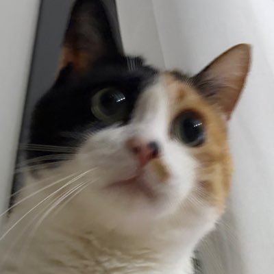 nunnanco's profile picture