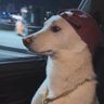Not Afraid's profile picture