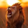 Mutsiuri waMasawara's profile picture