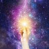 sunflowerseed's profile picture