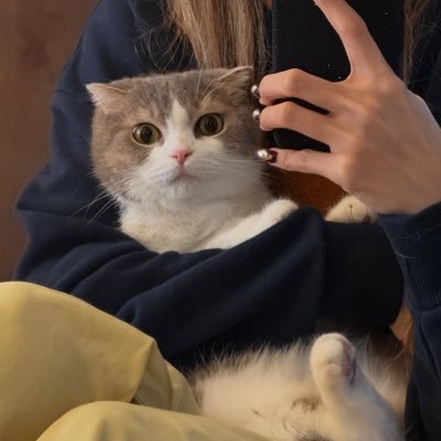 ninewperson13's profile picture