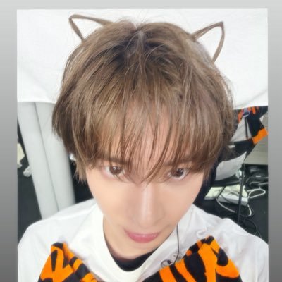 lelo ⋆𐙚 ̊.'s profile picture