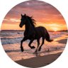 T.I.G.E.R MOOD's profile picture