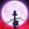 Verwirrender's profile picture