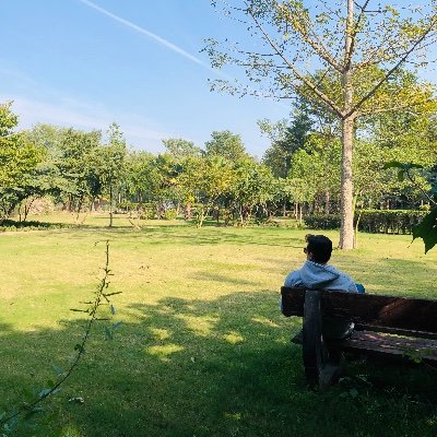 RayhanMusings's profile picture