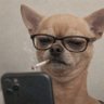 JMFR's profile picture