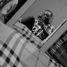 Oluwadamilareโ๏ธ's profile picture