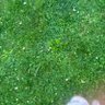 Stocks & Prosper's profile picture
