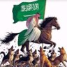 Фото профиля Shaheem Allebdi