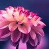 LvFleur profil fotoğrafı