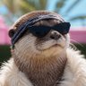 Фото профиля Otter Online™