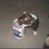 Skrilla's profile picture