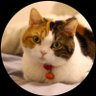 ウルトラ隊員 profil fotoğrafı