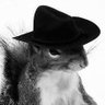 sweetبـنت ابـوها🐹's profile picture