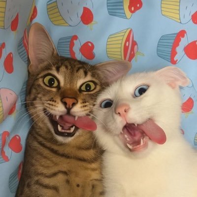 winteoe's profile picture
