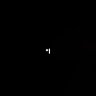 Skweshees's profile picture