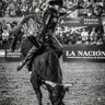 Rodrigo Lucas's profile picture