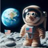 Фото профиля 🌛WhItEy On ThE mOoN2🌜