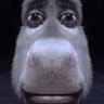 TV's profile picture