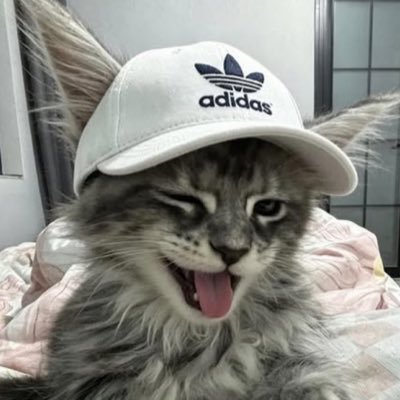 MontemorU's profile picture
