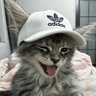 monte ッ's profile picture