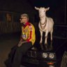 🇦🇺MAURO⁹'s profile picture