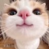 da's profile picture