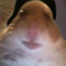 Profilbild von ??