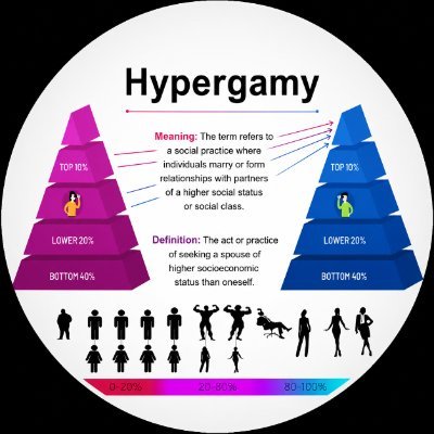 HypergamyOnSol's profile picture