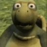 Turtle profil fotoğrafı