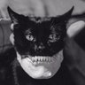 Profilbild von CasHape
