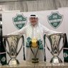 اهلاوي ملكي نخبوي 🤍💚 profil fotoğrafı