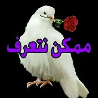 llnjr4805815335's profile picture