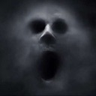 n9's profile picture