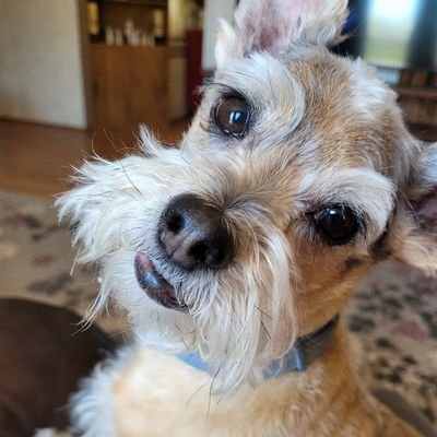 ∼Marietta's profile picture