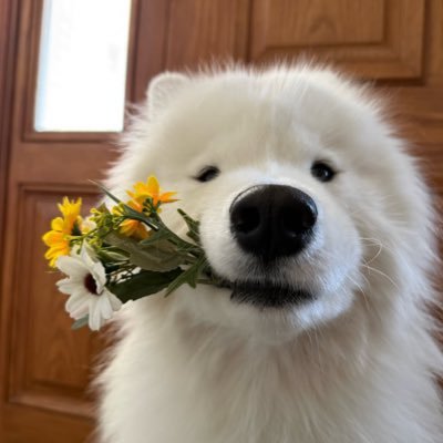 Fxiiiss's profile picture