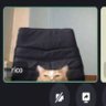 Profilbild von kkniow
