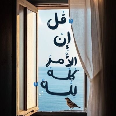 Ali al-ansi's profile picture