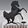 Profilbild von البدر