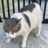 vanya profil fotoğrafı