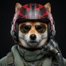 Tactical_Shiba 的头像
