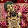 Ahir Ashok Gojiya's profile picture