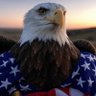 patriot extreme 的头像