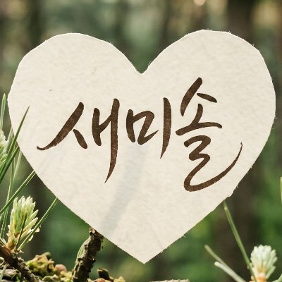 새미솔's profile picture