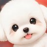 ちゅうたん's profile picture