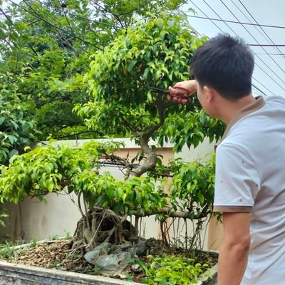 Tokenvie86's profile picture